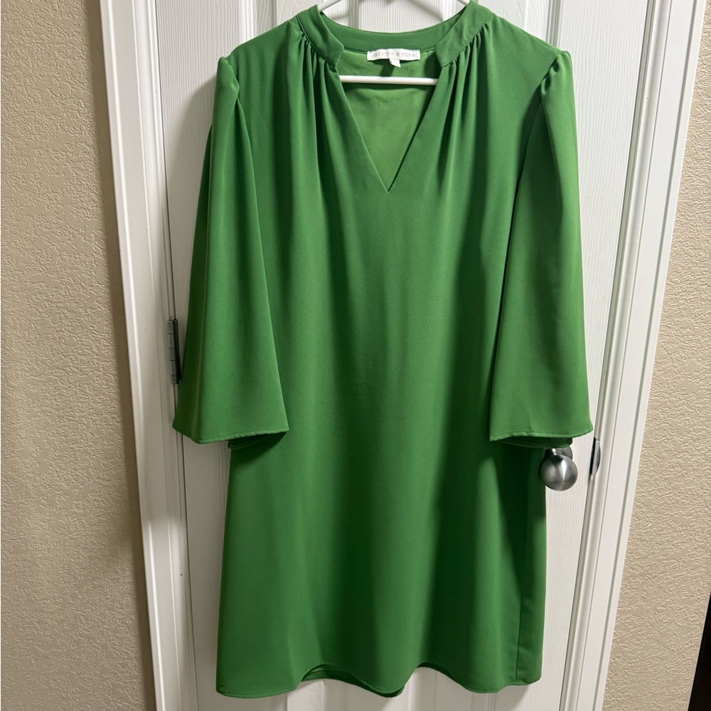 Preston & York Vibrant Green Tunic Top
